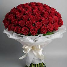 Букет 101 Красная роза Блэк Мэджик в Новолотошино