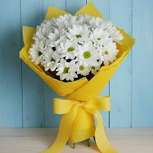 Букет цветов из:  Хризантемы в Новолотошино