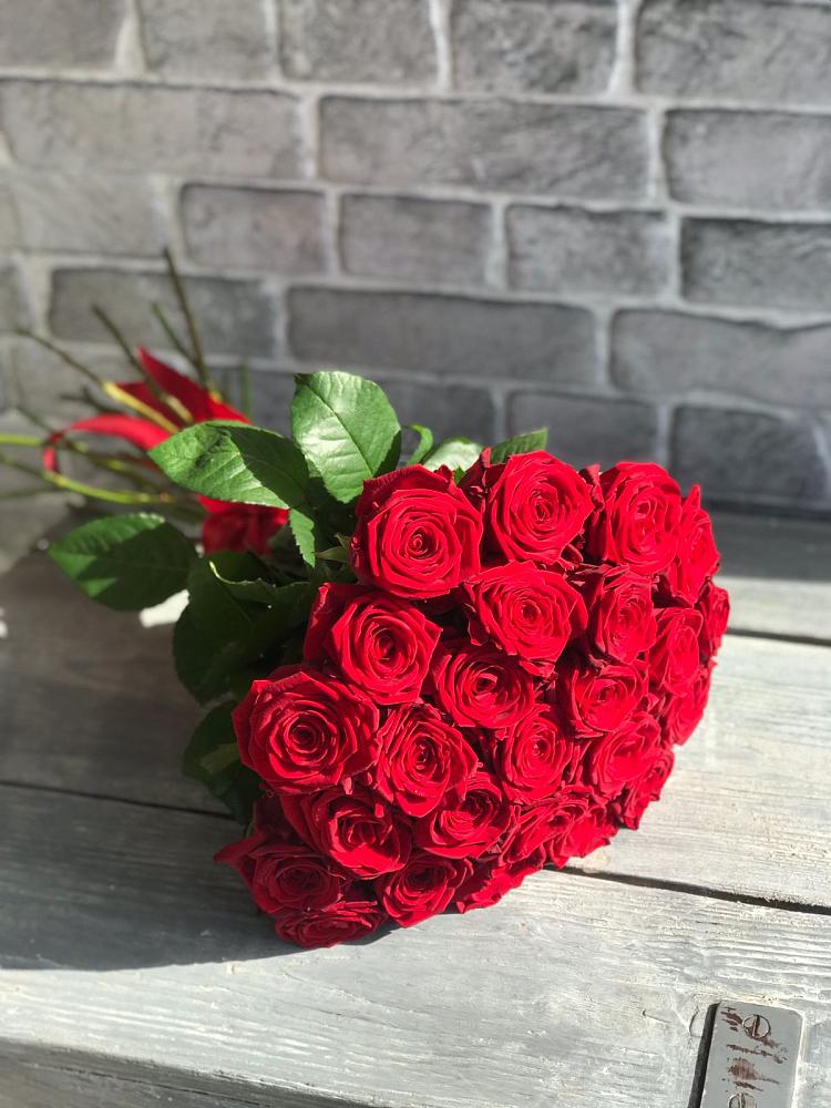 Букет Красные розы Фридом в Новолотошино