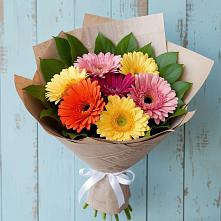 Букет цветов из:  Герберы в Новолотошино