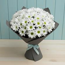 Букет цветов из:  Хризантемы в Новолотошино