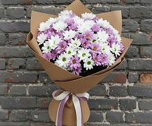 Букет цветов из:  Хризантемы #REPLACE_PRED# Новолотошино