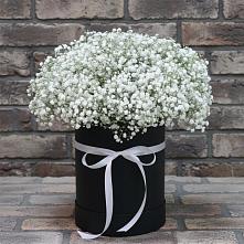 Цветочная композиция из Гипсофила в шляпной коробке #REPLACE_PRED# Новолотошино