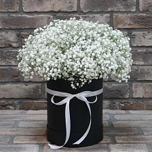 Цветочная композиция из Гипсофила в шляпной коробке в Новолотошино