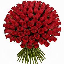 Букет Красные розы Чери Лав в Новолотошино