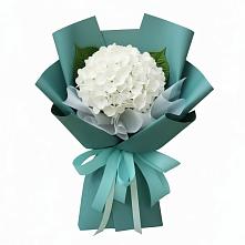 Букет цветов из:  Гортензия #REPLACE_PRED# Новолотошино